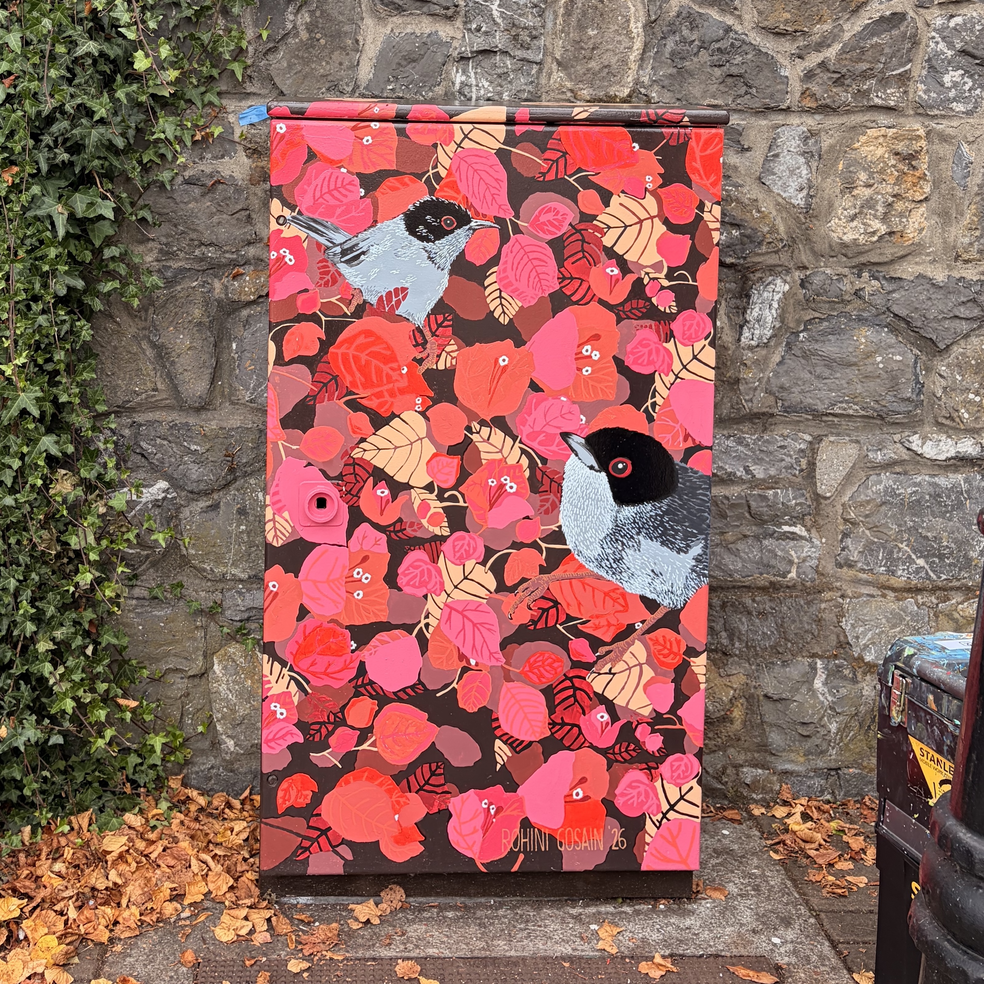 Dublin Canvas public art project in Castleknock