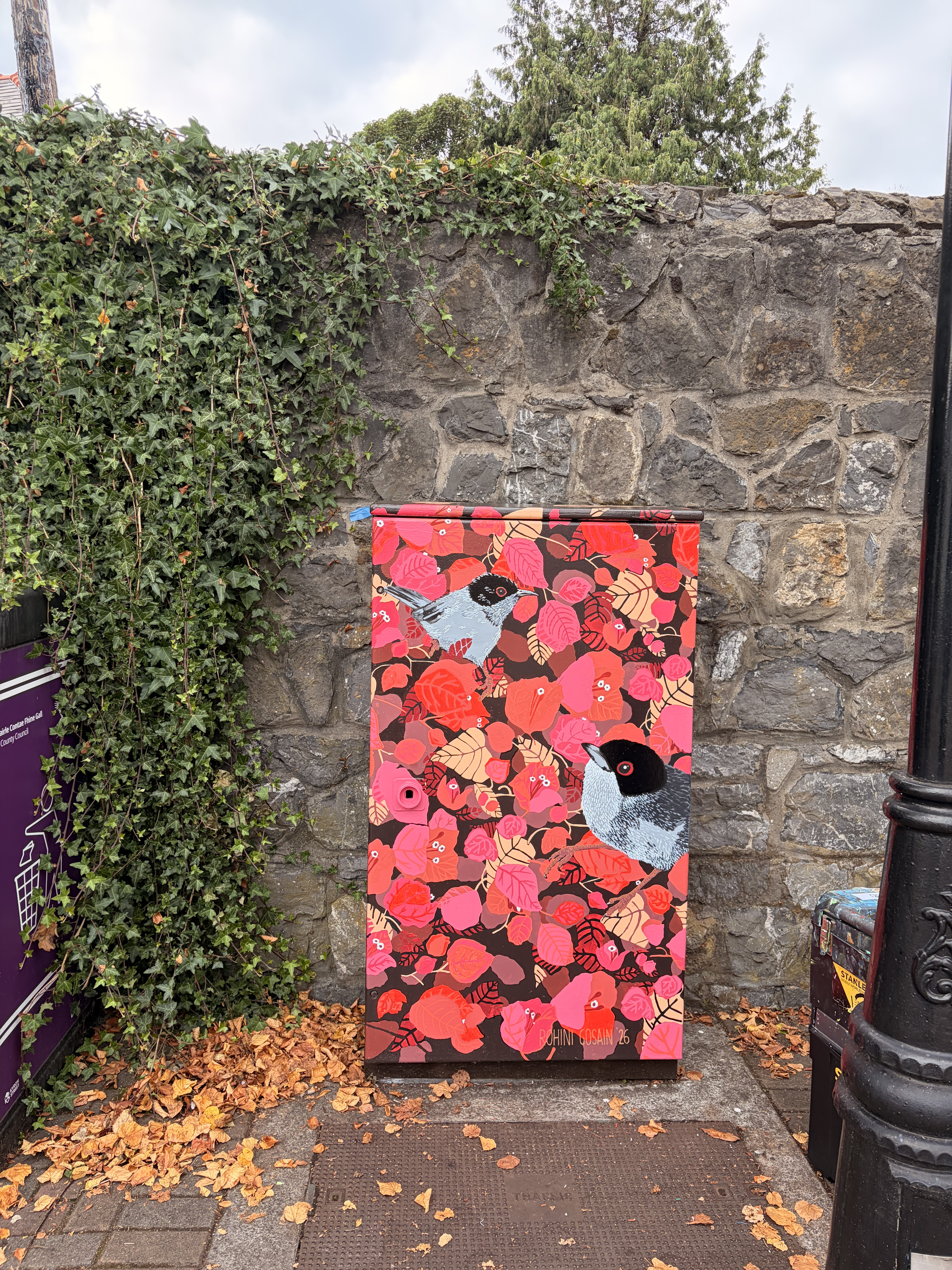 Drawing the Dublin Canvas composition onto the utility box